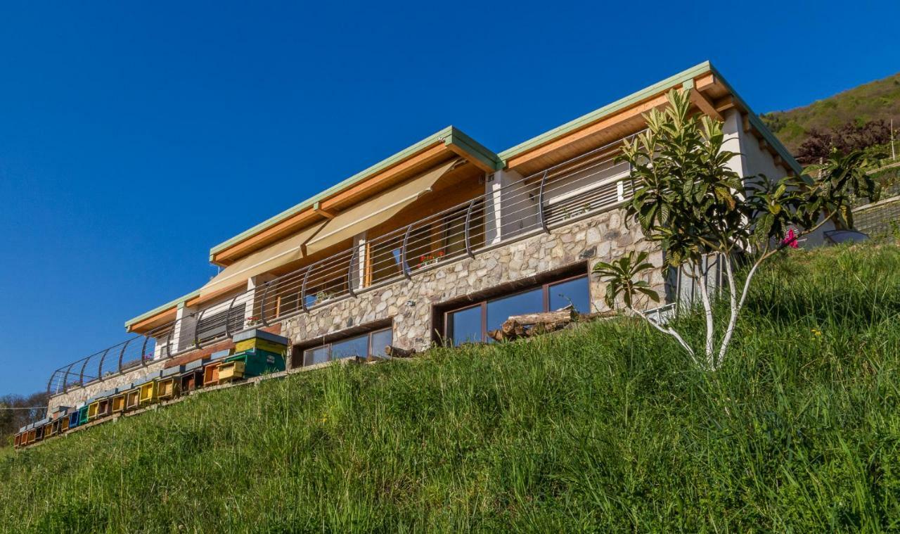Agriturismo Alveare Sul Lago Pisogne Bagian luar foto