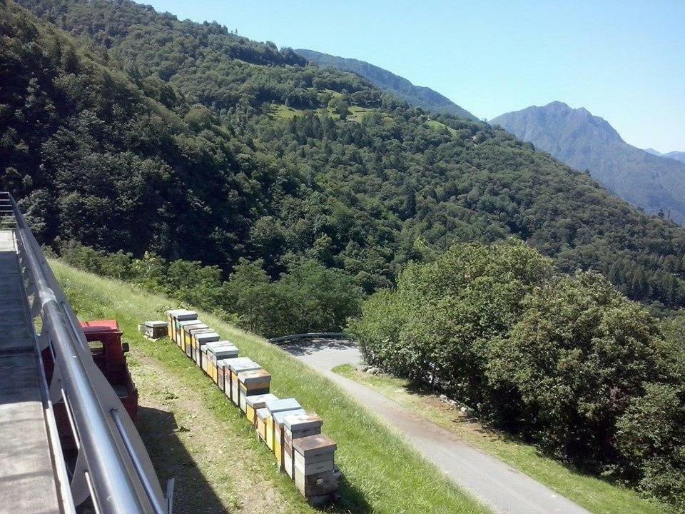 Agriturismo Alveare Sul Lago Pisogne Bagian luar foto